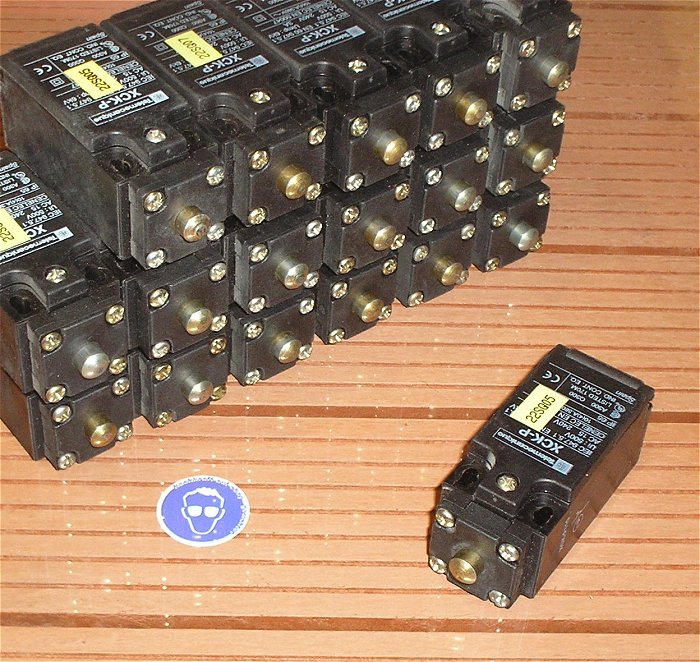 hq Endschalter Positionsschalter 1S1Ö PG11 Telemecanique XCK-P