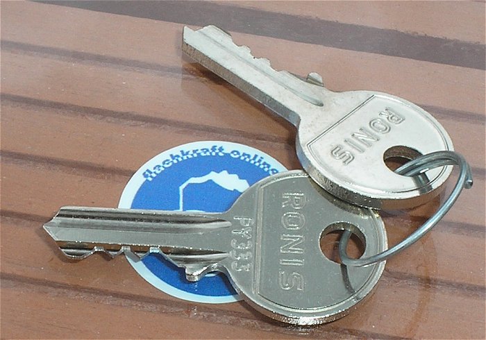 hq1 Schlüsselschalter-Antrieb mit 2 Ronis PY333 Pizzato E2 1SC3DCE11AA EAN 8018851199752