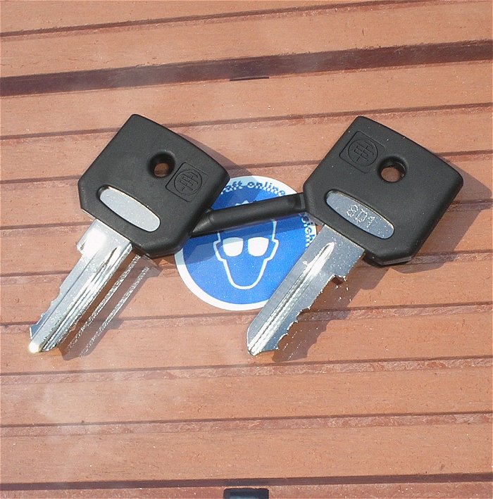 hq 2x Schlüssel Ersatzschlüssel Schneider Electric ZBD8D1 8D1 EAN 3389110092554